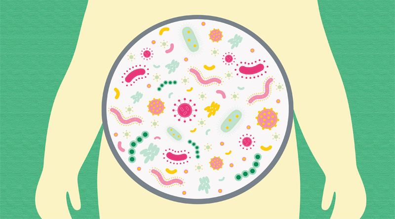 Hasta donde conocemos la implicancia de la microbiota?