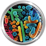 disbiosis de hipodiversidad umebir